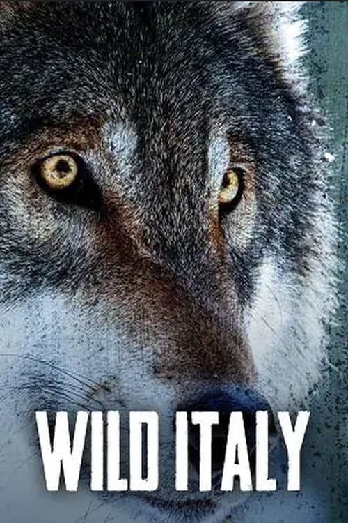 Wild Italy Season 2 poster