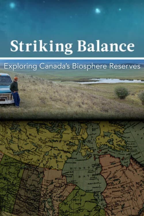 Striking Balance Season 2 poster