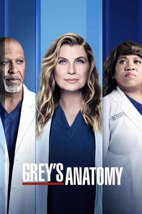 Grey's Anatomy Season 18 poster
