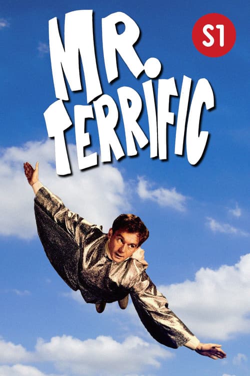 Mr. Terrific Season 1 poster