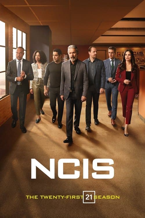 NCIS Season 21 poster