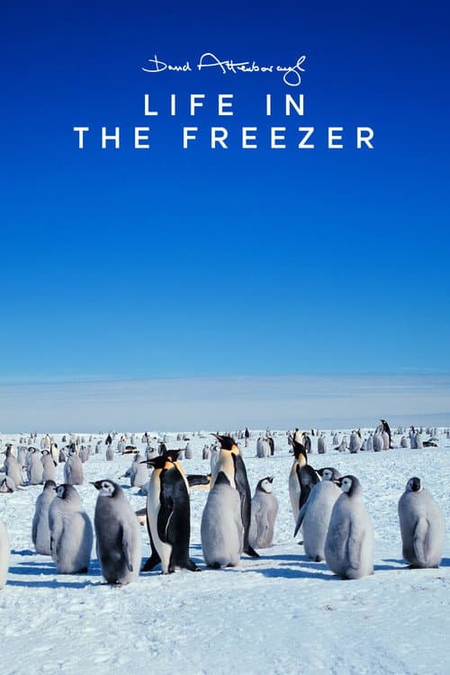 Life in the Freezer Miniseries poster