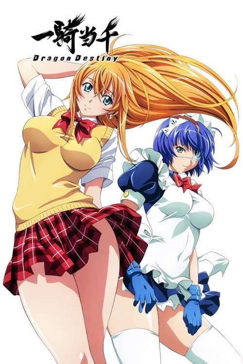 Ikki Tousen Dragon Destiny poster