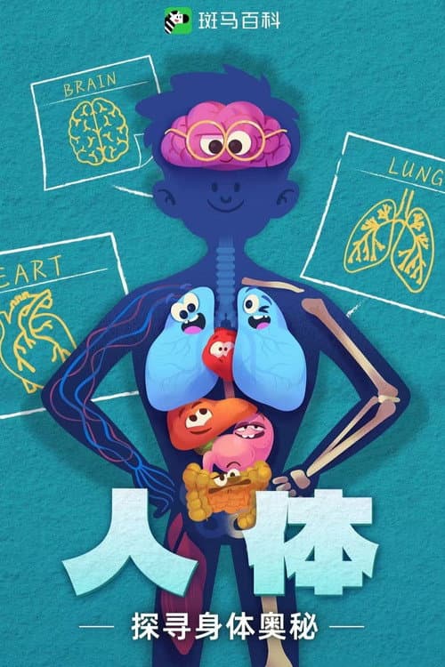 斑马百科 Season 7 poster