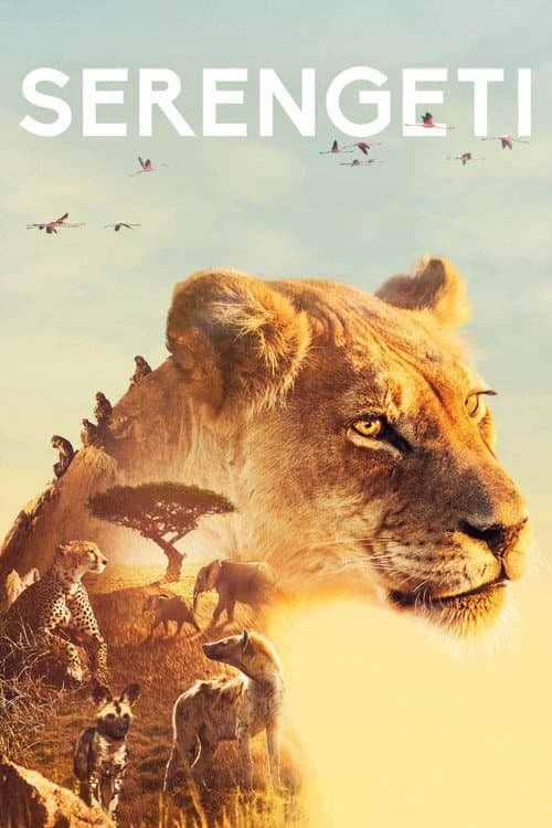 Serengeti Season 1 poster