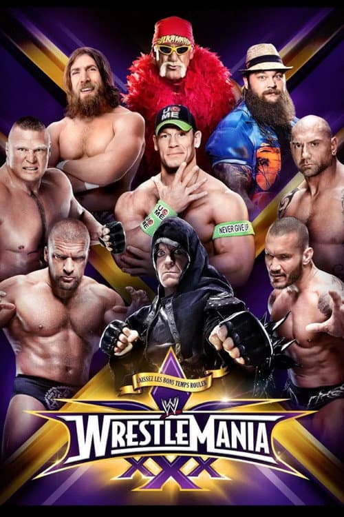 WWE Pay Per View Season 2014 poster