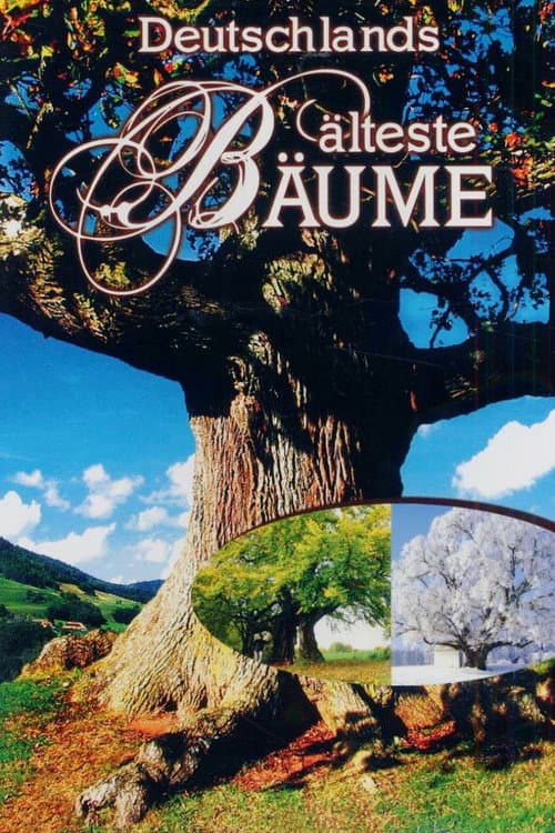 Deutschlands älteste Bäume Season 1 poster