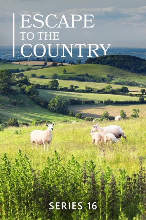 Escape to the Country Series 15 poster