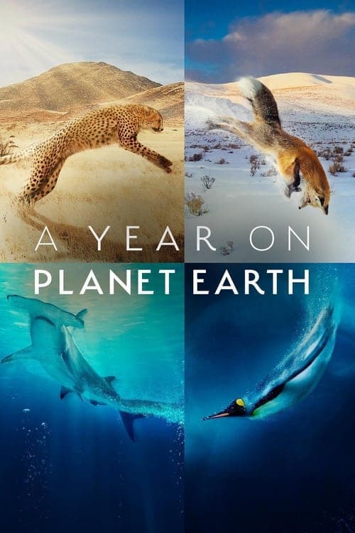 A Year on Planet Earth Season 1 poster
