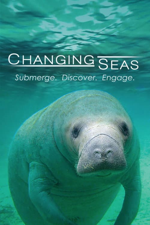 Changing Seas Season 2 poster