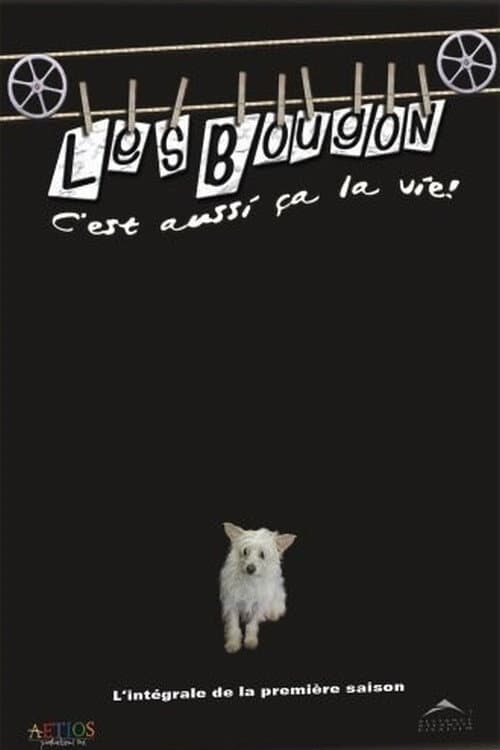 Les Bougon, c'est aussi ça la vie ! Season 1 poster