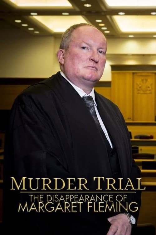 Murder Trial The Vanishing Woman poster