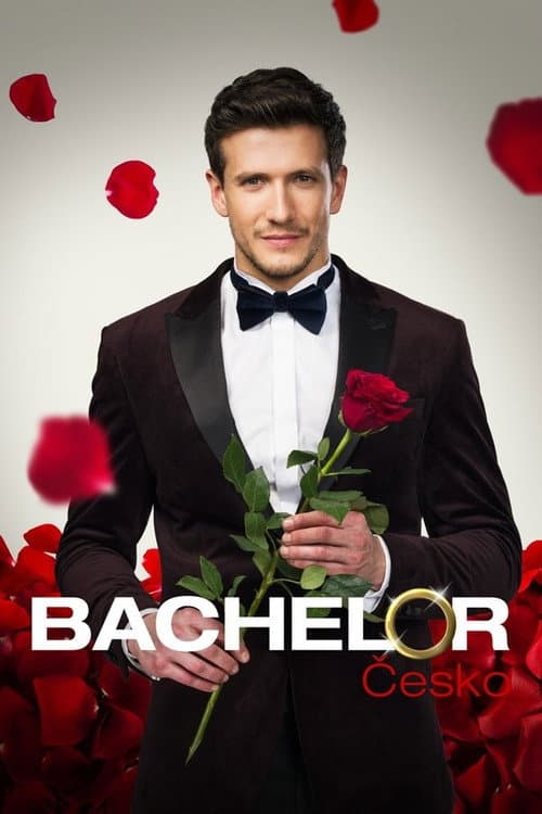 Bachelor Czech Republic Season 1 poster