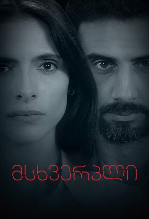 Victim Season 1 poster