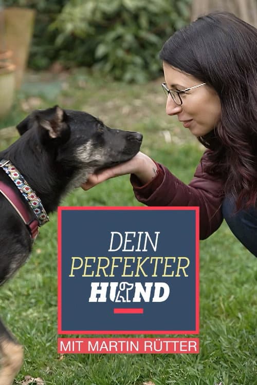 Dein perfekter Hund Season 1 poster