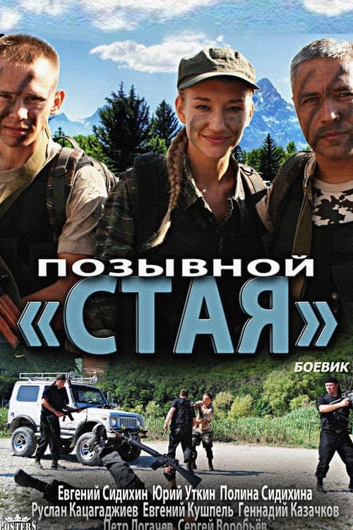 Позывной «Стая» Season 1 poster
