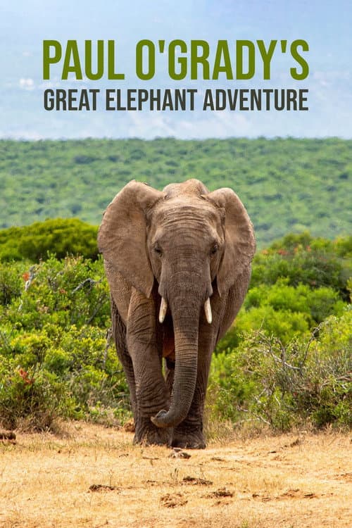 Paul O'Grady's Great Elephant Adventure Season 1 poster