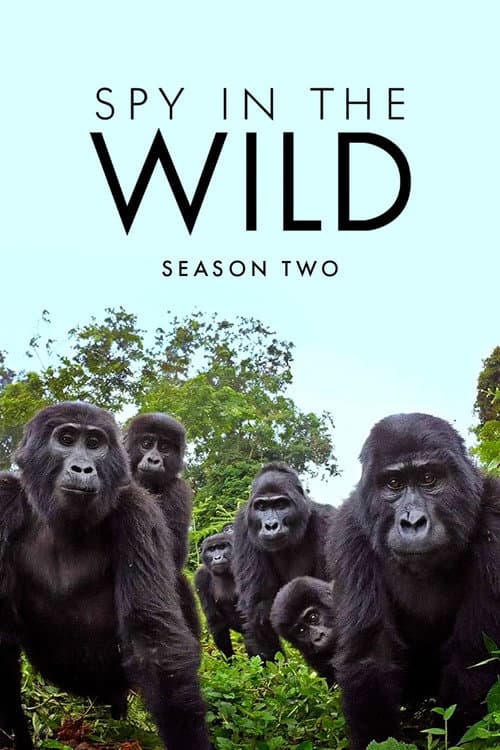 Spy in the Wild Season 2 poster