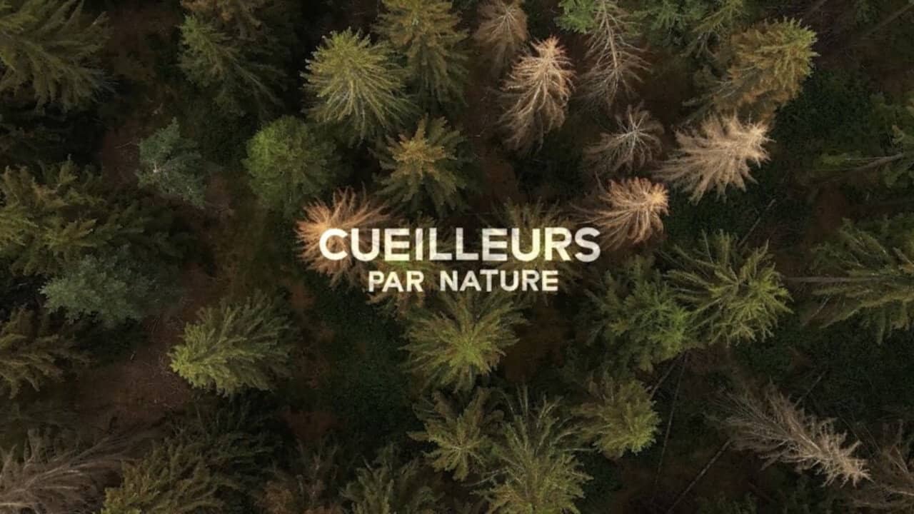 Cueilleurs par nature backdrop
