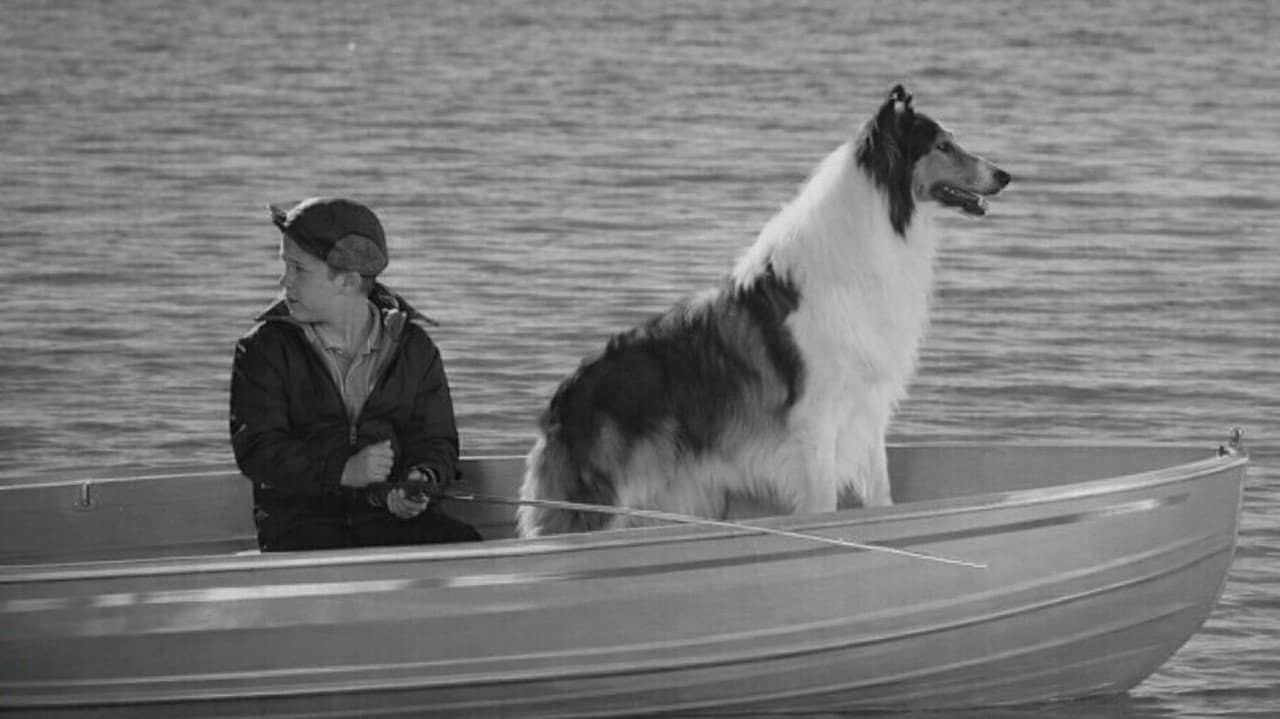 Lassie: Disappearance backdrop