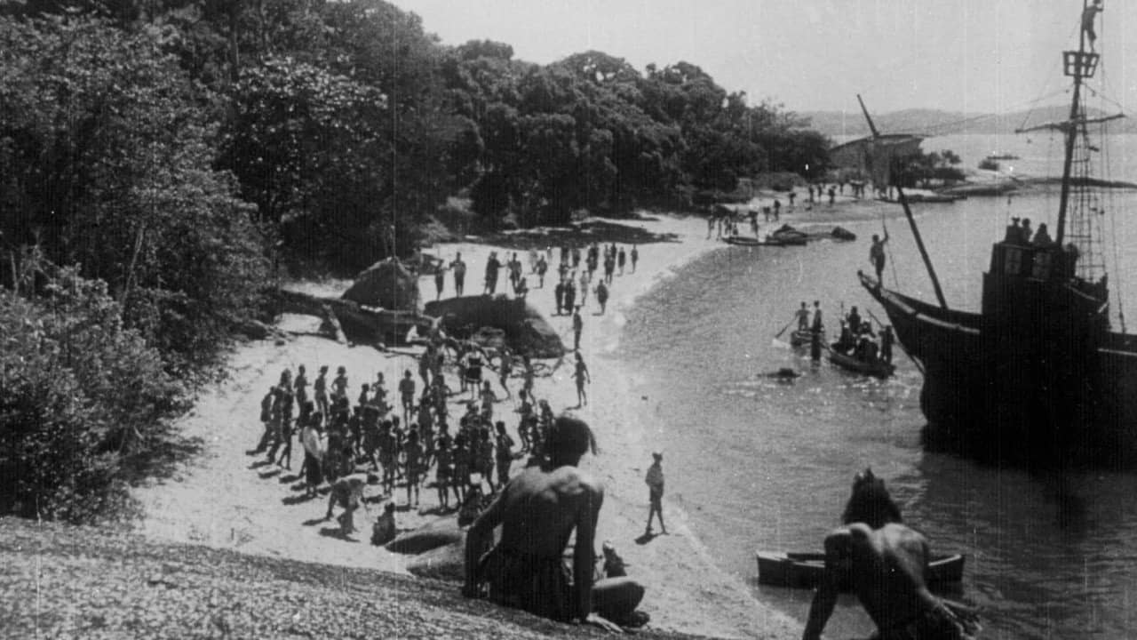 The Discovery of Brazil backdrop