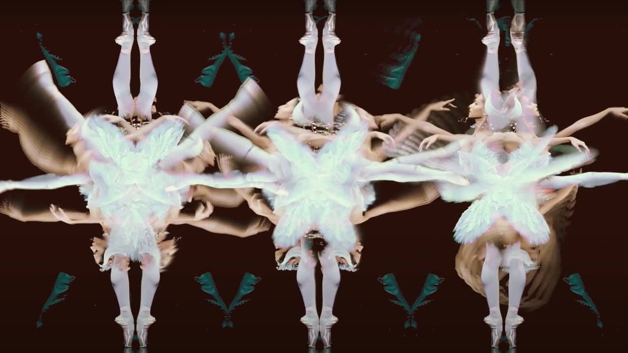 Cygnes backdrop