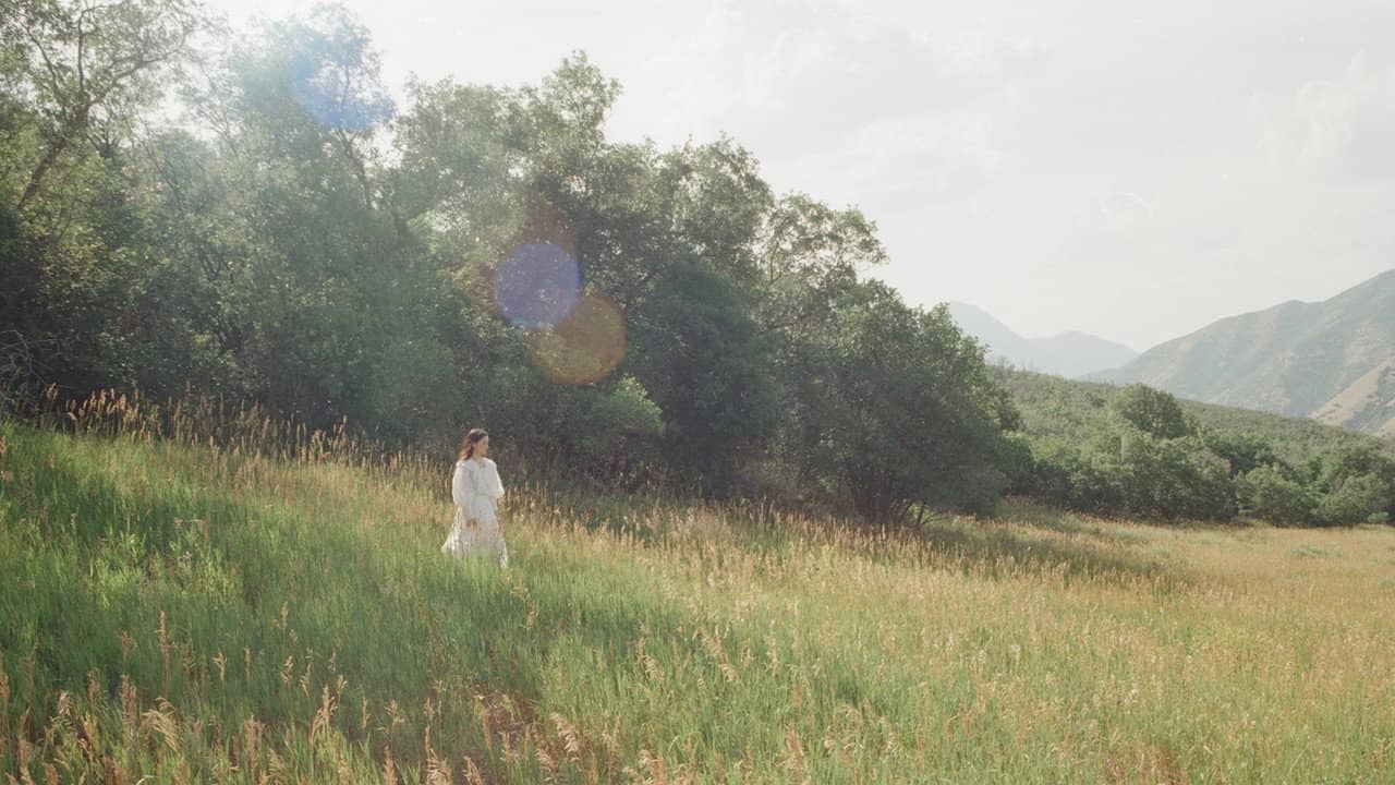 The Meadow backdrop