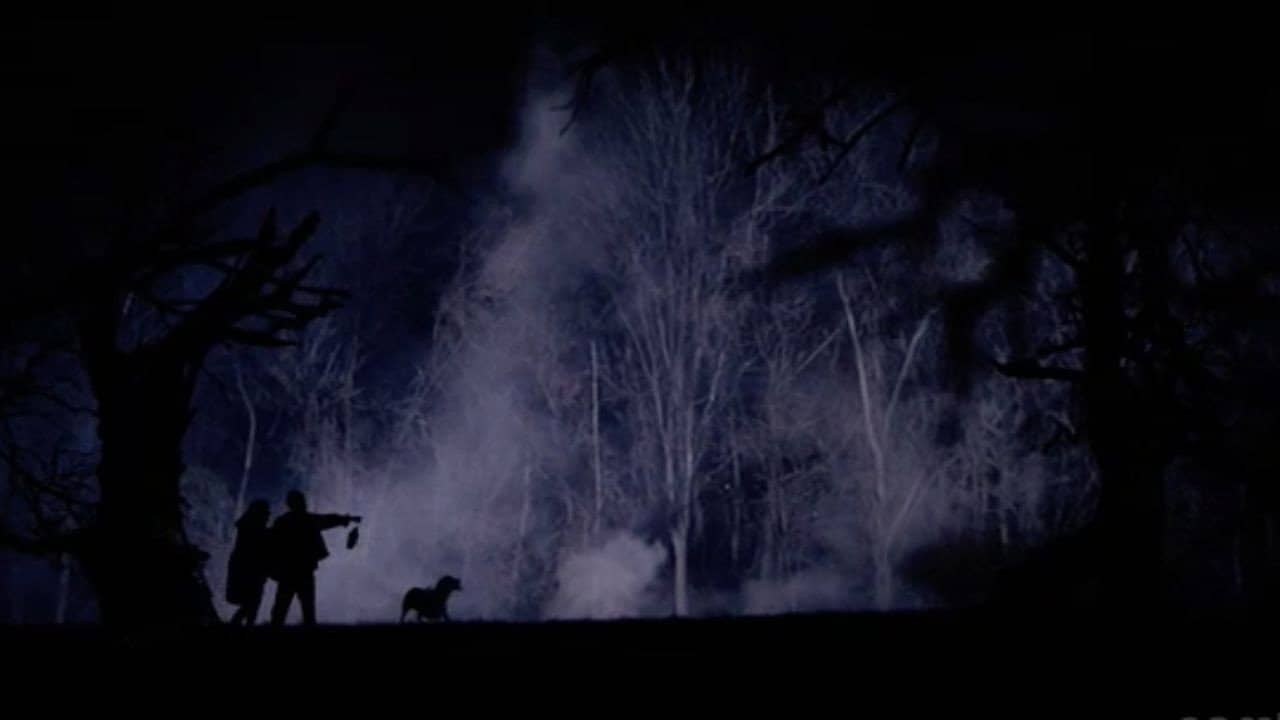 The Hollow Tree backdrop
