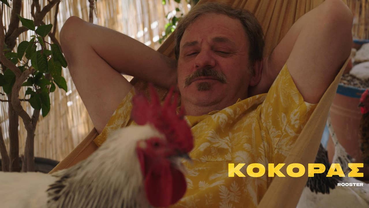 Rooster backdrop