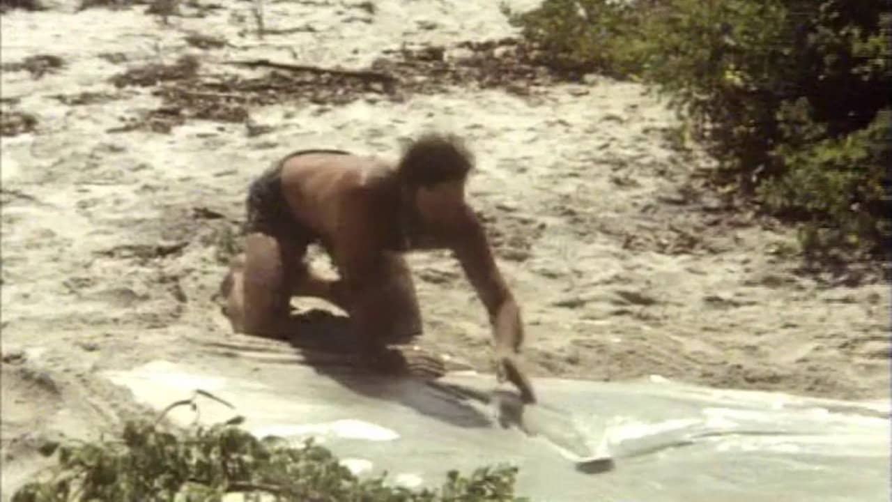 Survival In The Outback backdrop