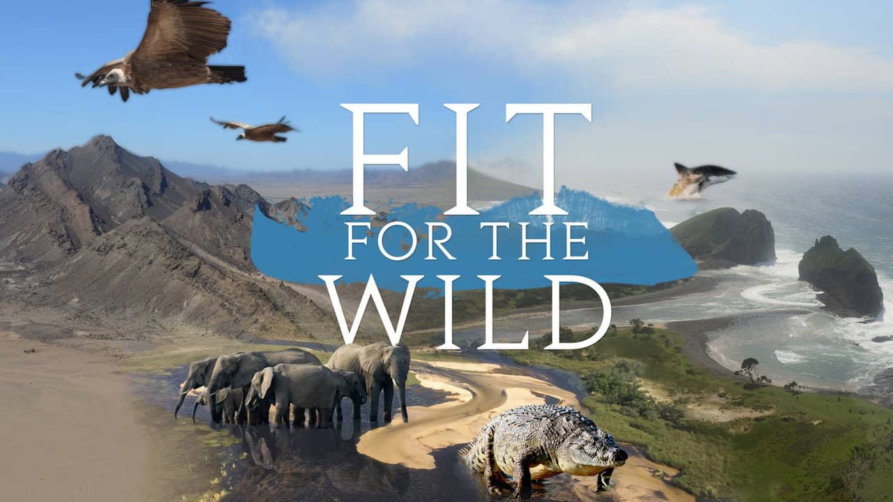 Fit for the Wild backdrop