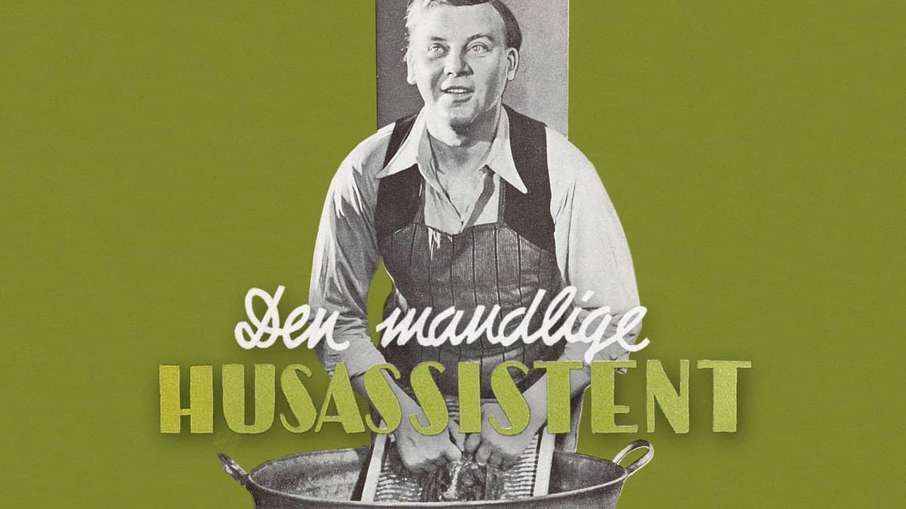 Den mandlige husassistent backdrop