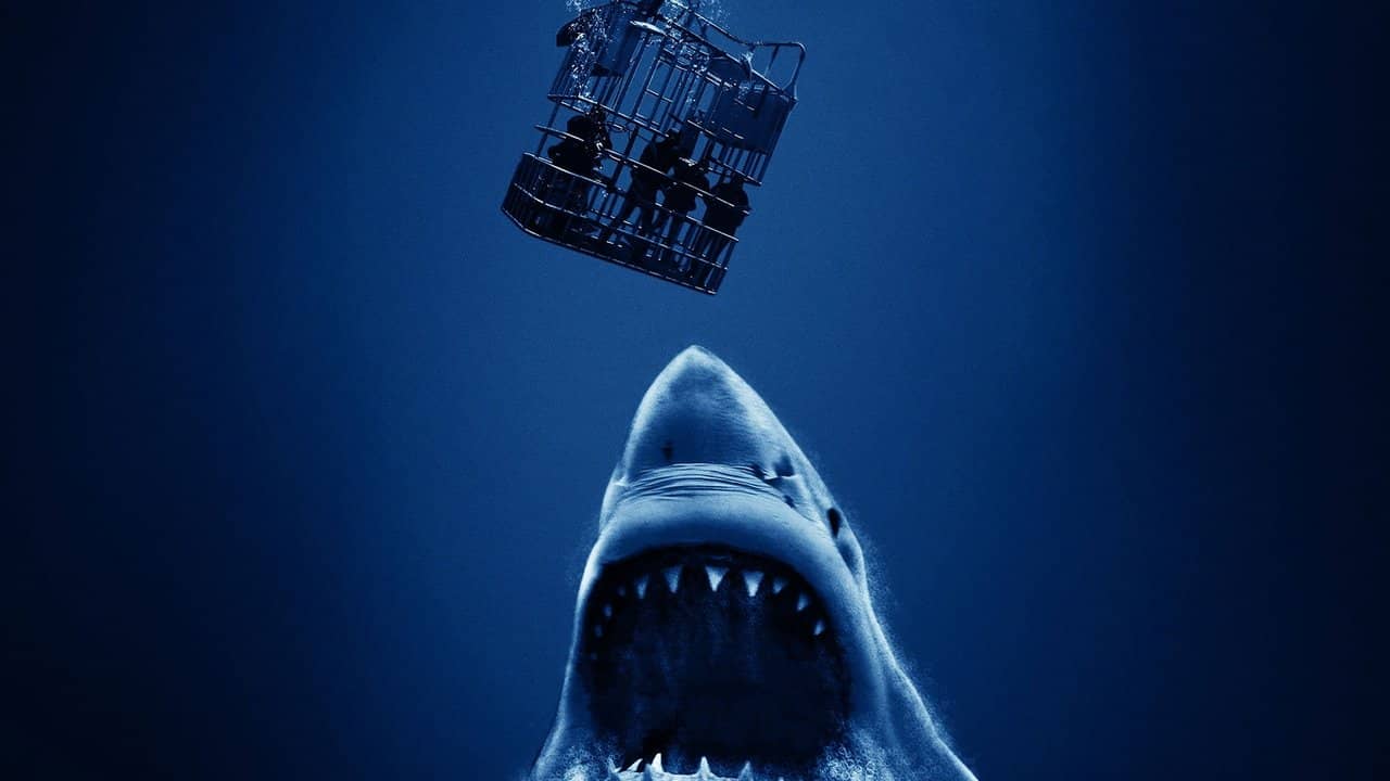 Cage Dive backdrop
