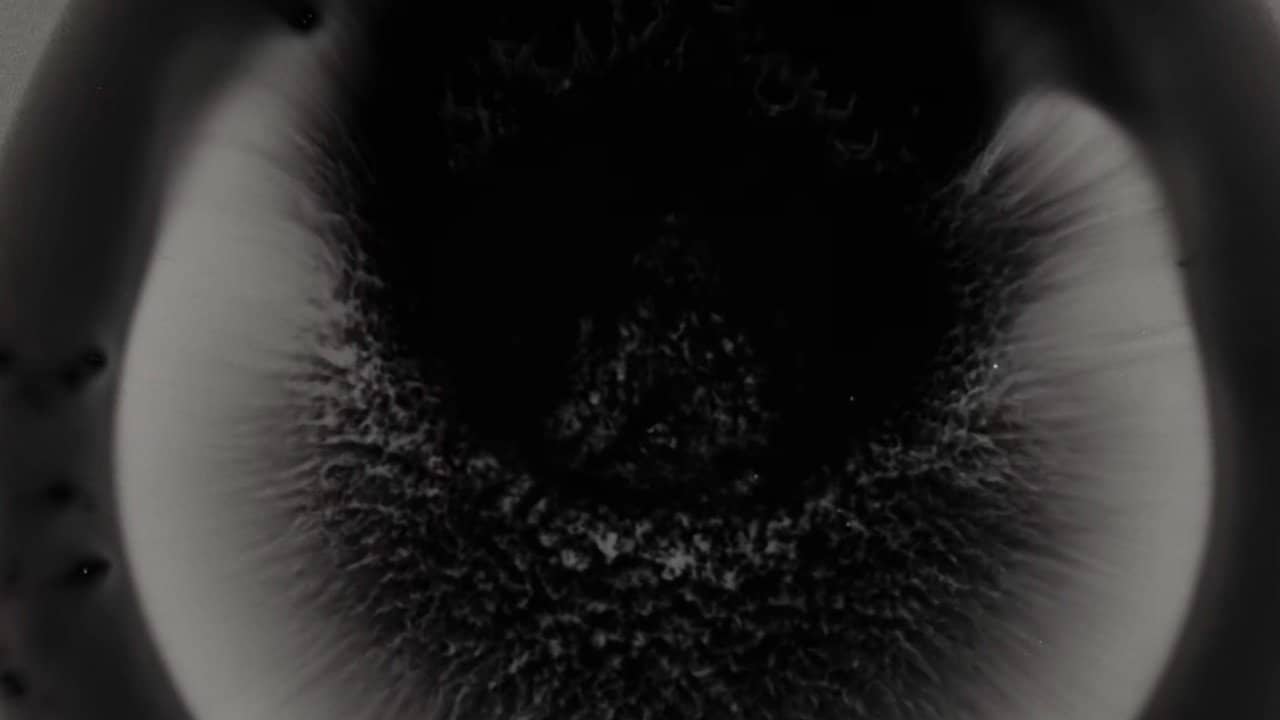 Michael Gira: I Wonder If I’m Singing What You’re Thinking Me to Sing (Live Solo 2022) backdrop