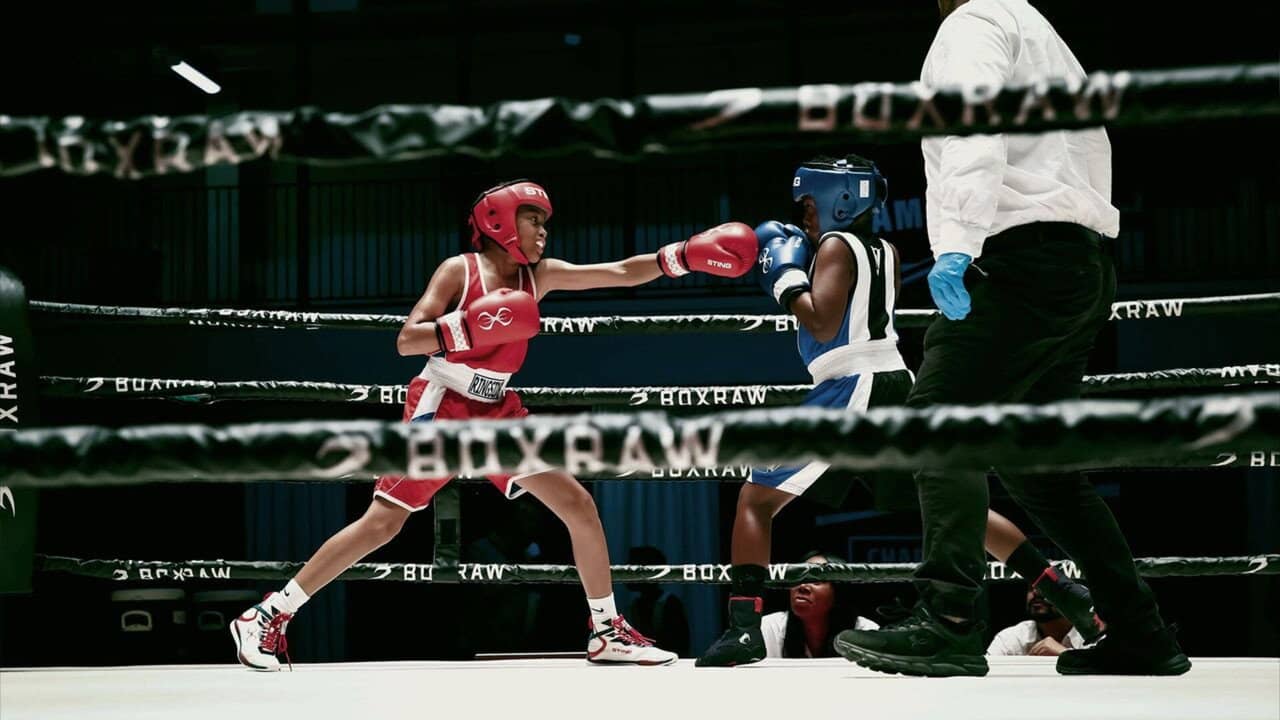 They Fight backdrop