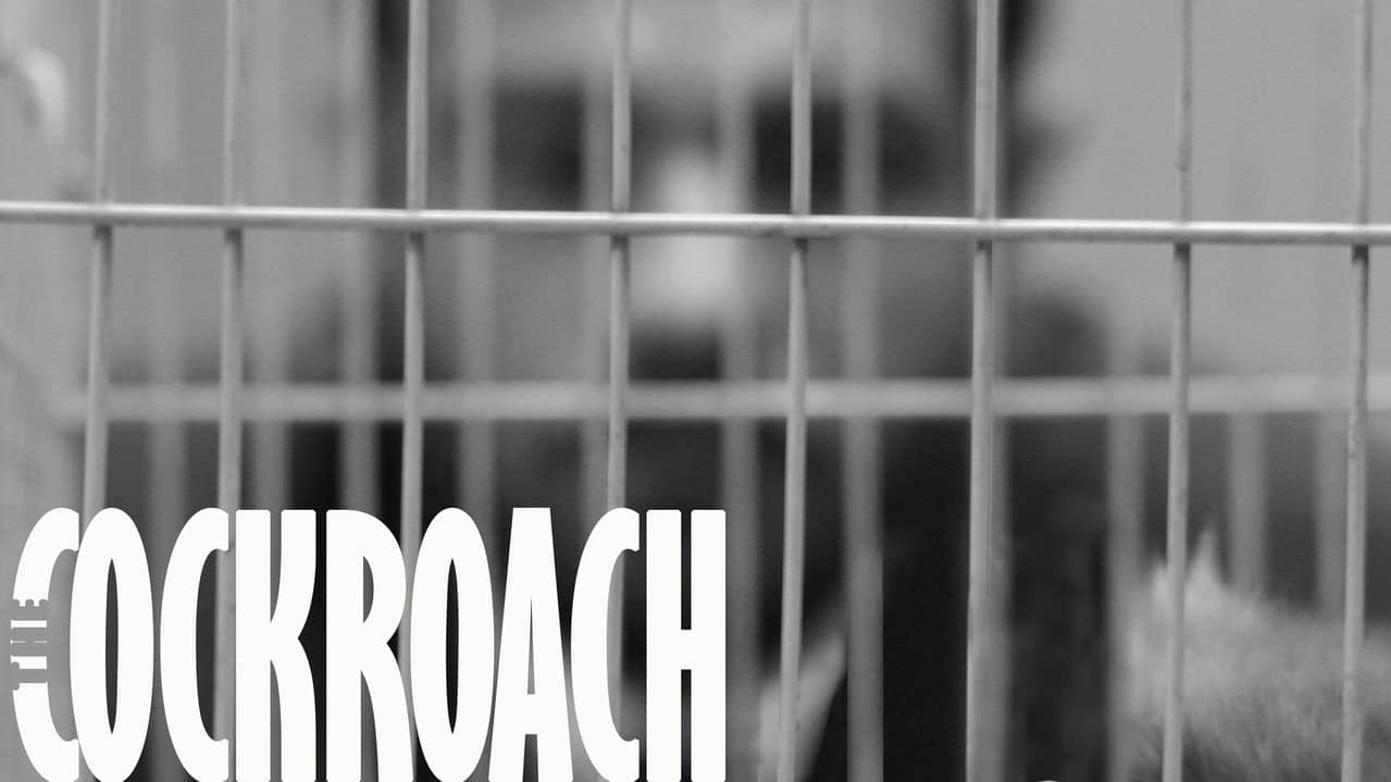 The Cockroach backdrop