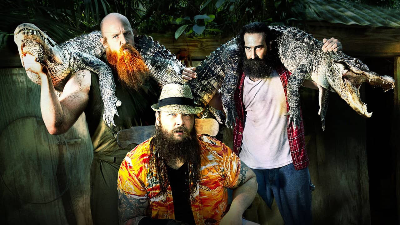 WWE Survivor Series 2013 backdrop