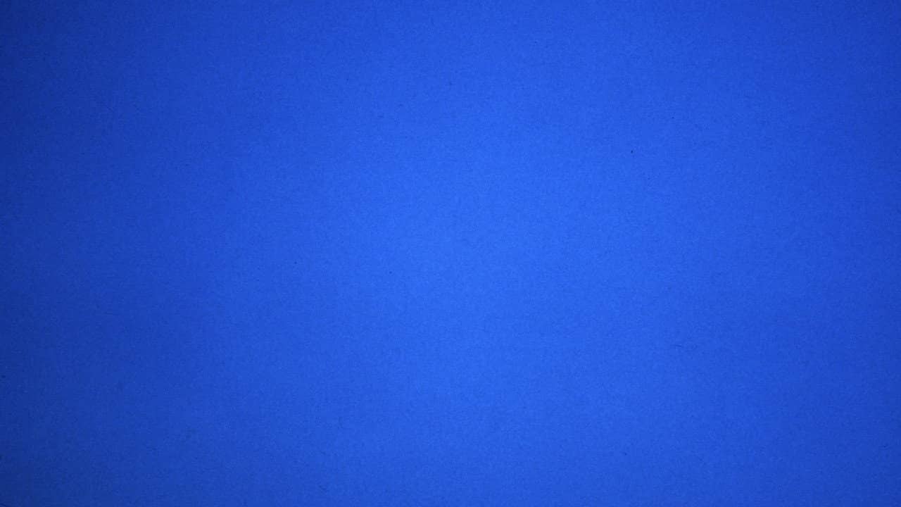 Blue backdrop