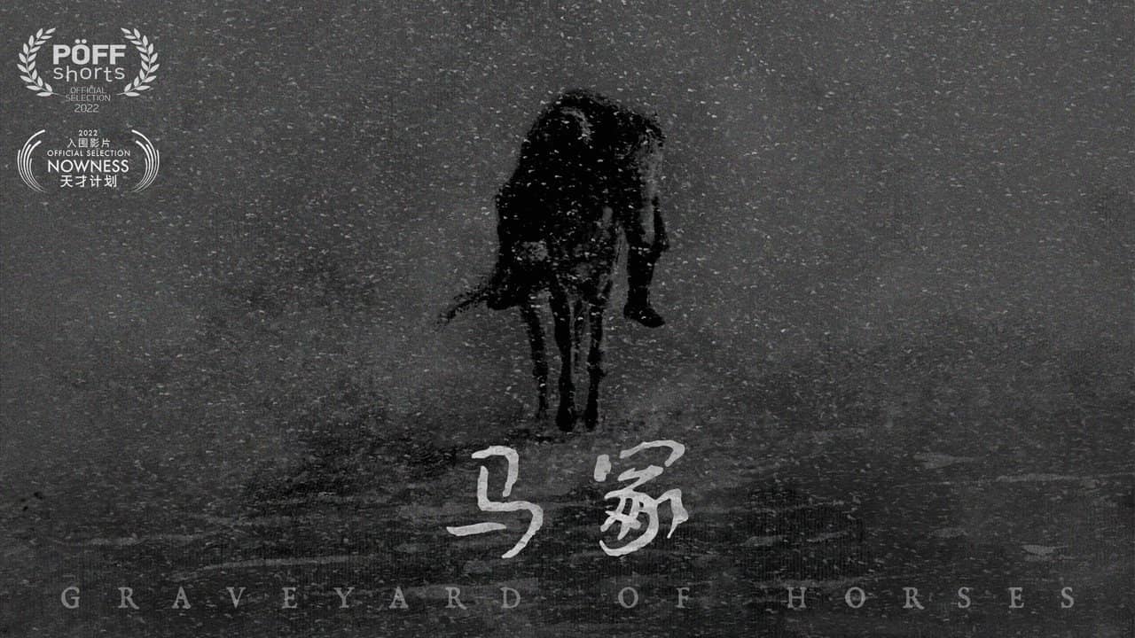 Graveyard of Horses backdrop