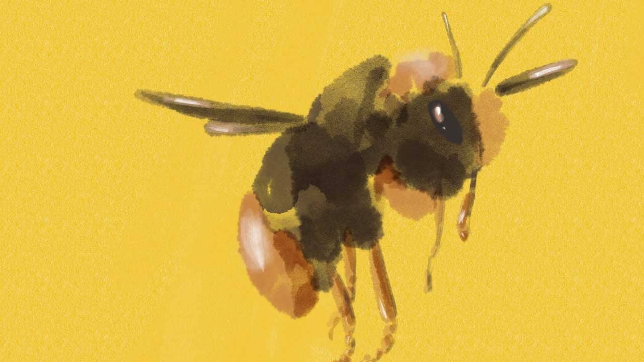 Bumblebee backdrop