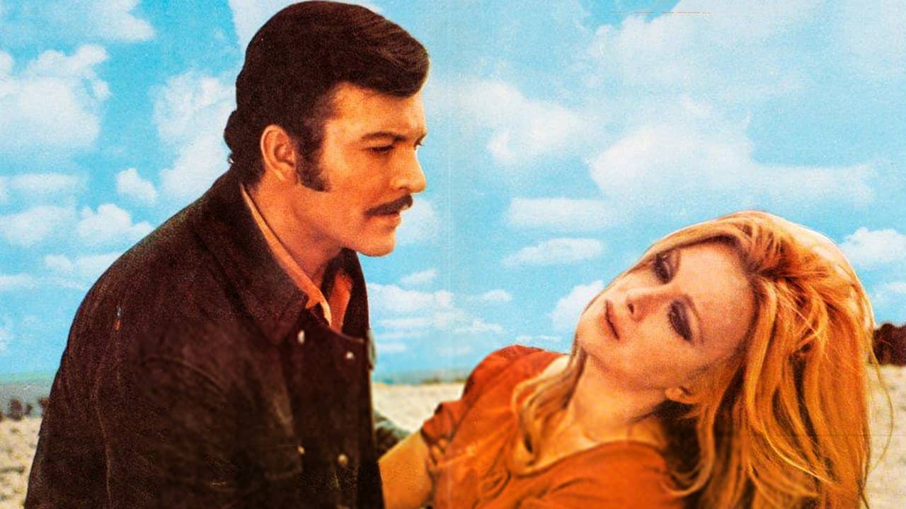 Beyaz Güller backdrop