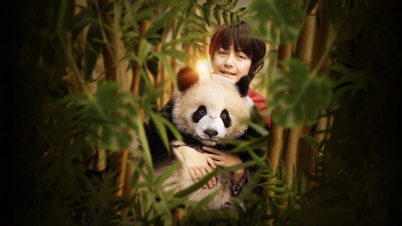 Moon the Panda backdrop