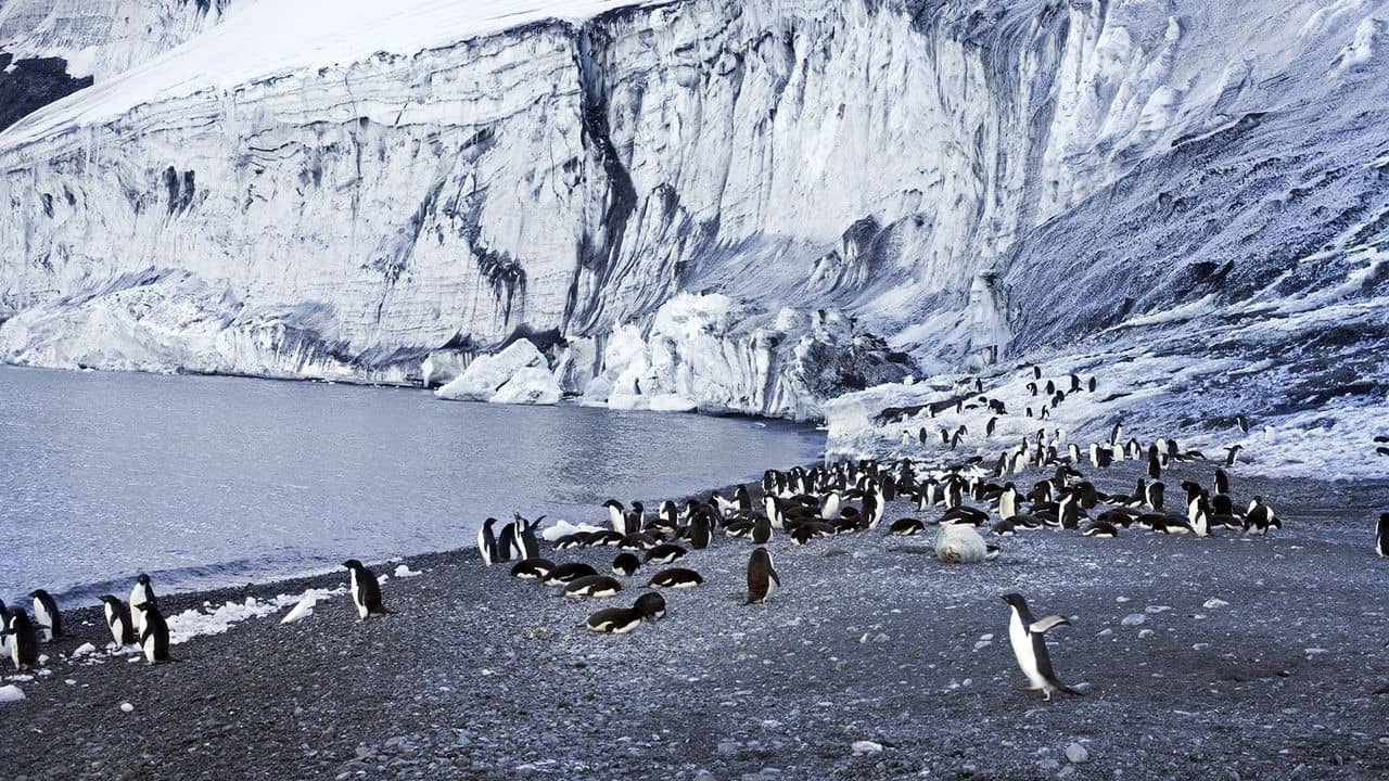 Antarctica: The Frozen Time backdrop