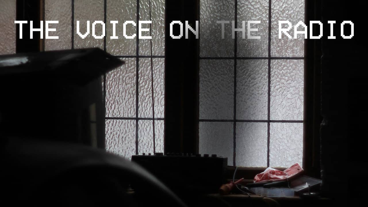 The Voice on The Radio backdrop