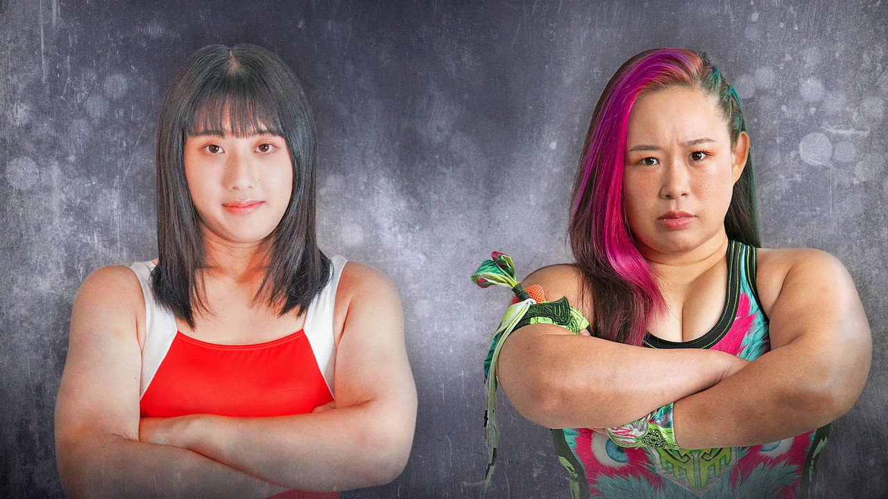 Sendai Girls' Pro-Wrestling in Sendai PIT ~Acceleration~ backdrop