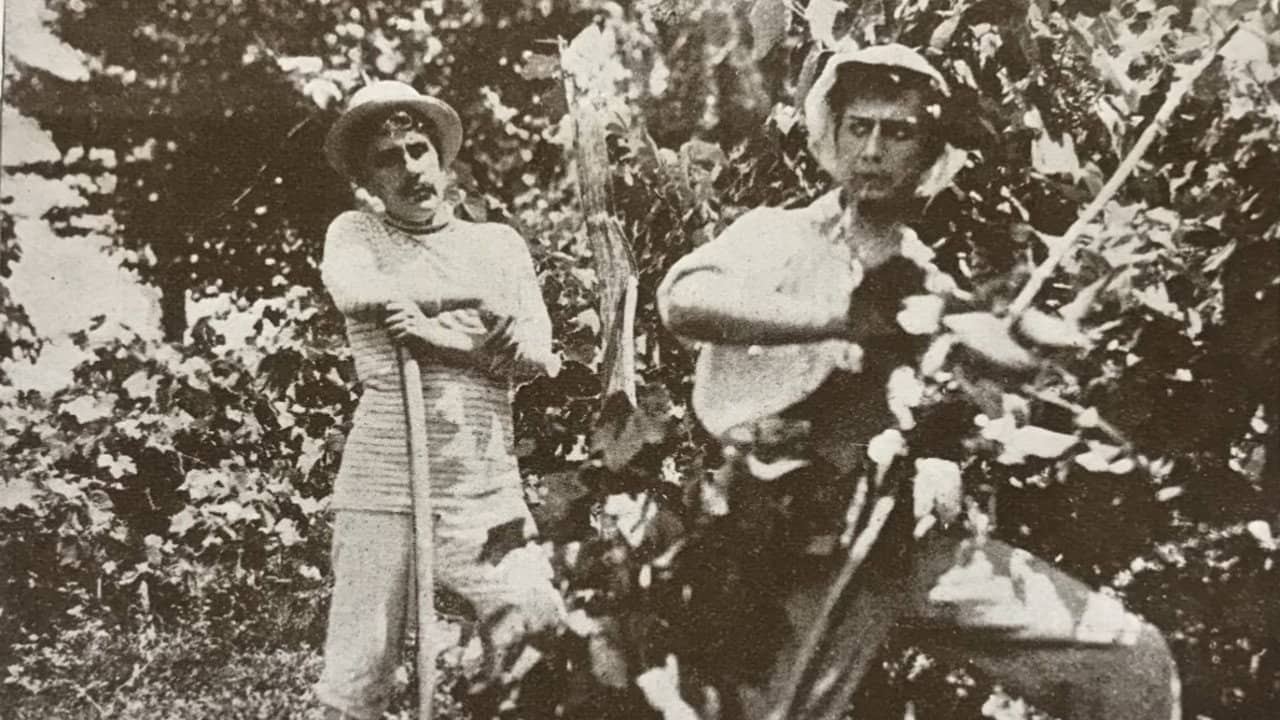 Гриф старого борца backdrop