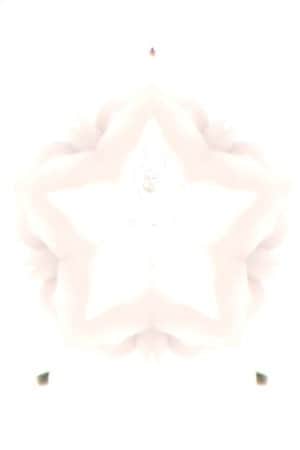 Flower of Flesh, Celestial Body