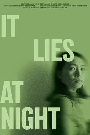 It Lies at Night