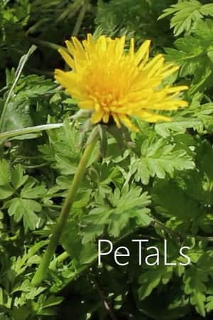 PeTaLs