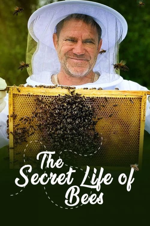 The Secret Life of Bees Limited Series poster